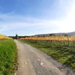 Bella Marthas * Miltenberg