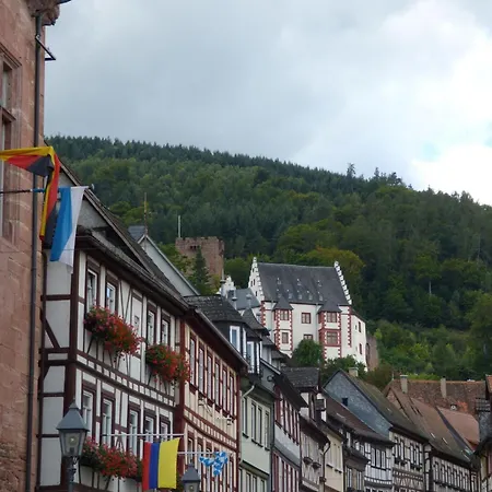 Апартаменты Bella Marthas Мильтенберг