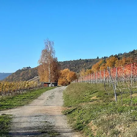 Bella Marthas * Мильтенберг