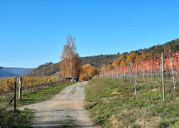 Bella Marthas * Miltenberg